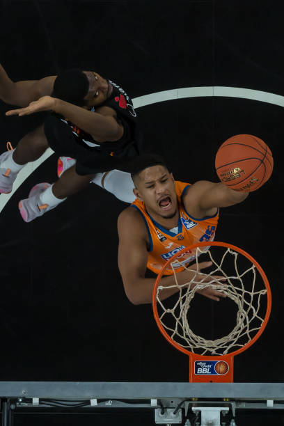 并不罕见 并不罕见